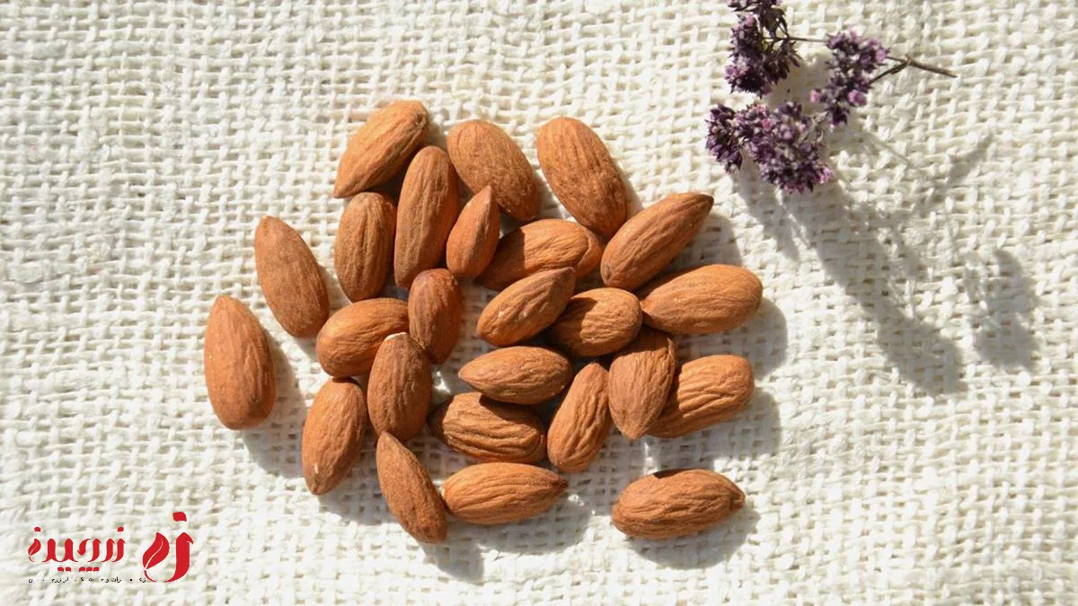 خواص بادام تلخ برای بدن چیست؟ | آیا بادام تلخ عوارضی دارد؟ | زرچین