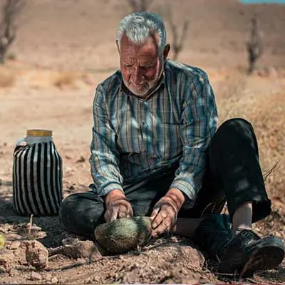 سید مُمَد تاجر