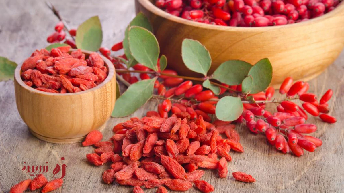 زرشک و کبد چرب؛ واقعیت علمی یا افسانه گیاهی