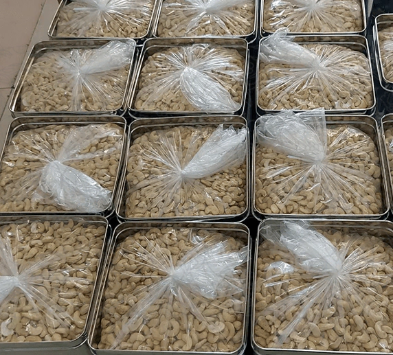 خرید عمده بادام هندی ویتنامی خام سایز 320 