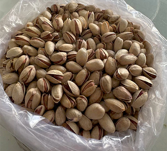 خرید عمده پسته