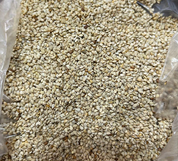 خرید عمده کنجد پاکستانی پوست کنده