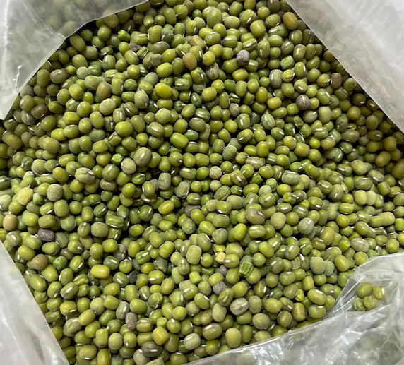 خرید عمده ماش