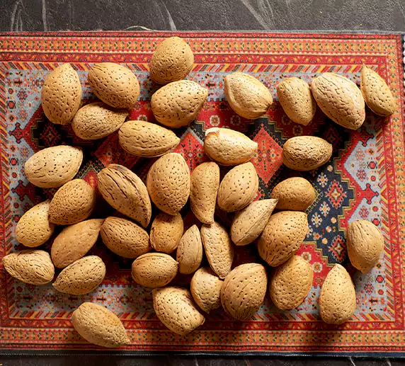 بادام سنگی ایرانی 2
