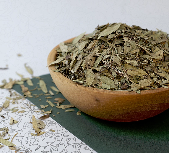 برگ سنا 2