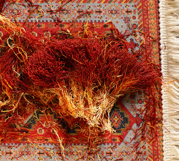 زعفران دخترپیچ (زعفران دسته) 4