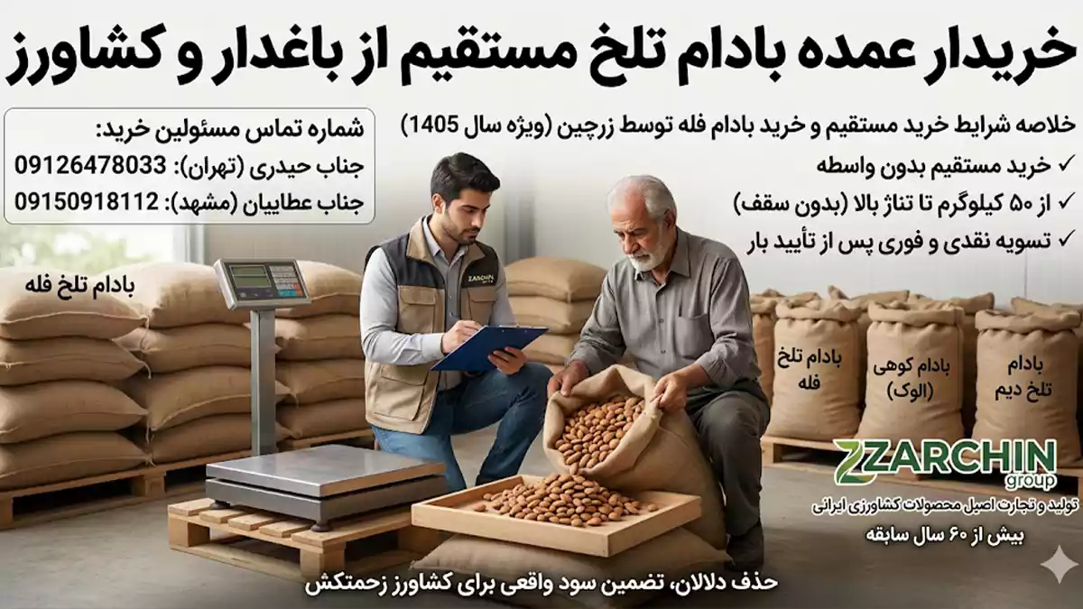 خریدار عمده بادام تلخ مستقیم از باغدار و کشاورز