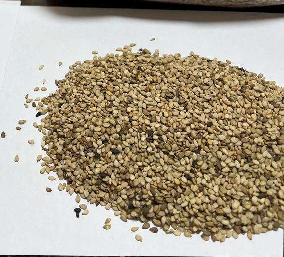 خرید عمده کنجد پاکستانی با پوست