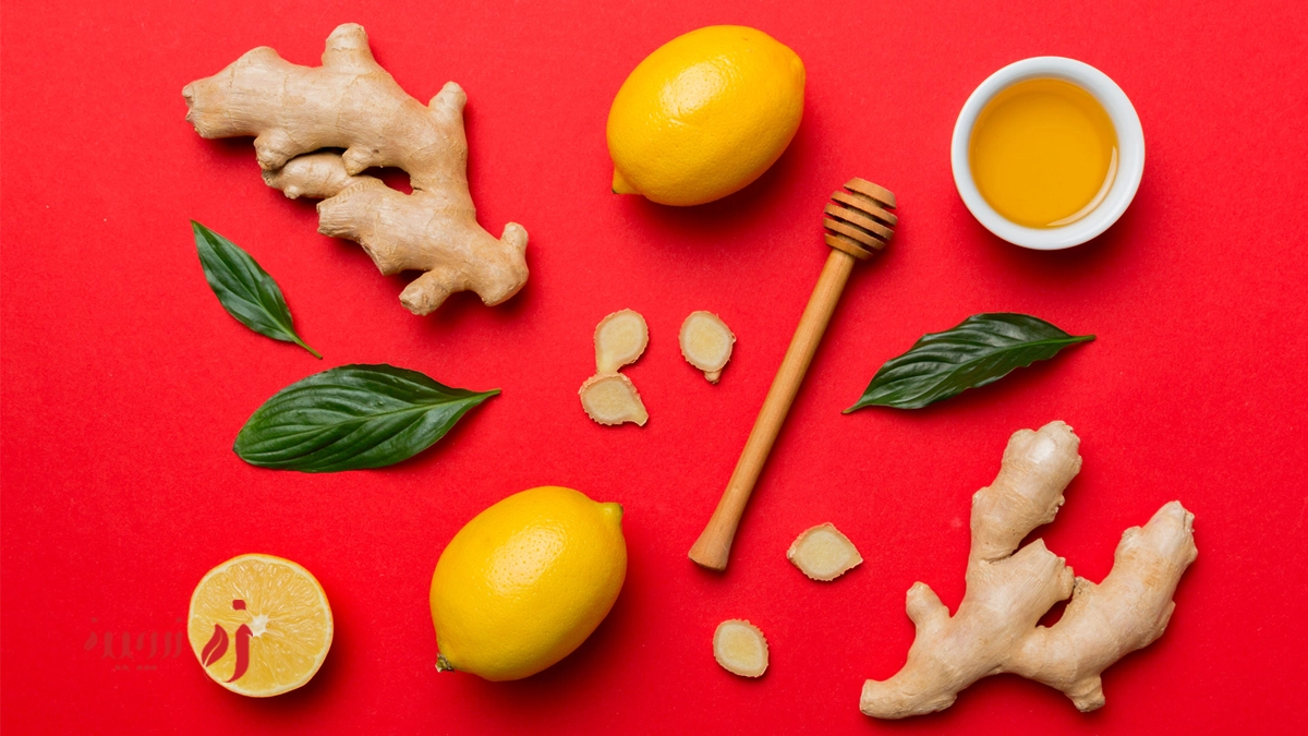 مواد غذایی مناسب برای رفع سردی معده