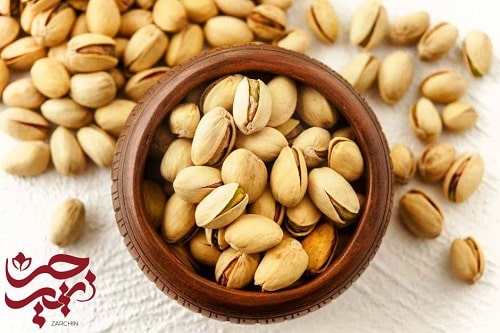 آموزش کاشت درخت پسته