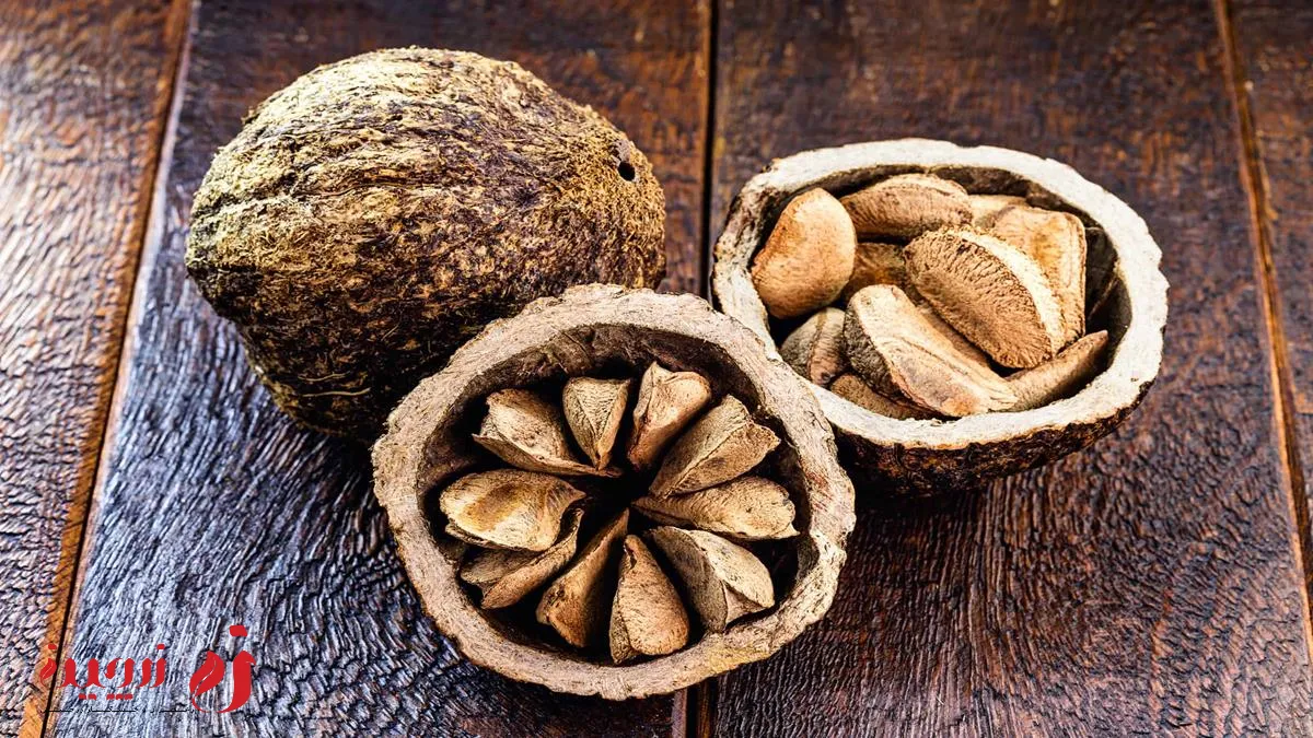 خواص آجیل برای برزیل