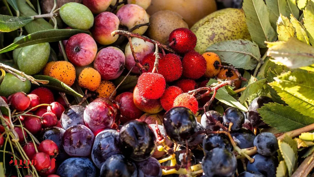 آنتی اسیدان چه تایری در بدن میگذارد