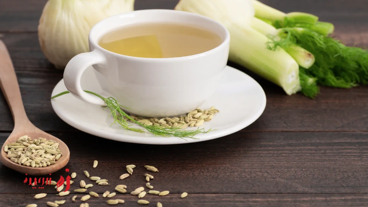 ادویه مفید برای گوارش