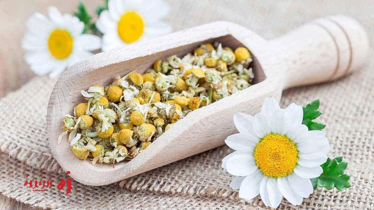 ارزش غذایی بابونه