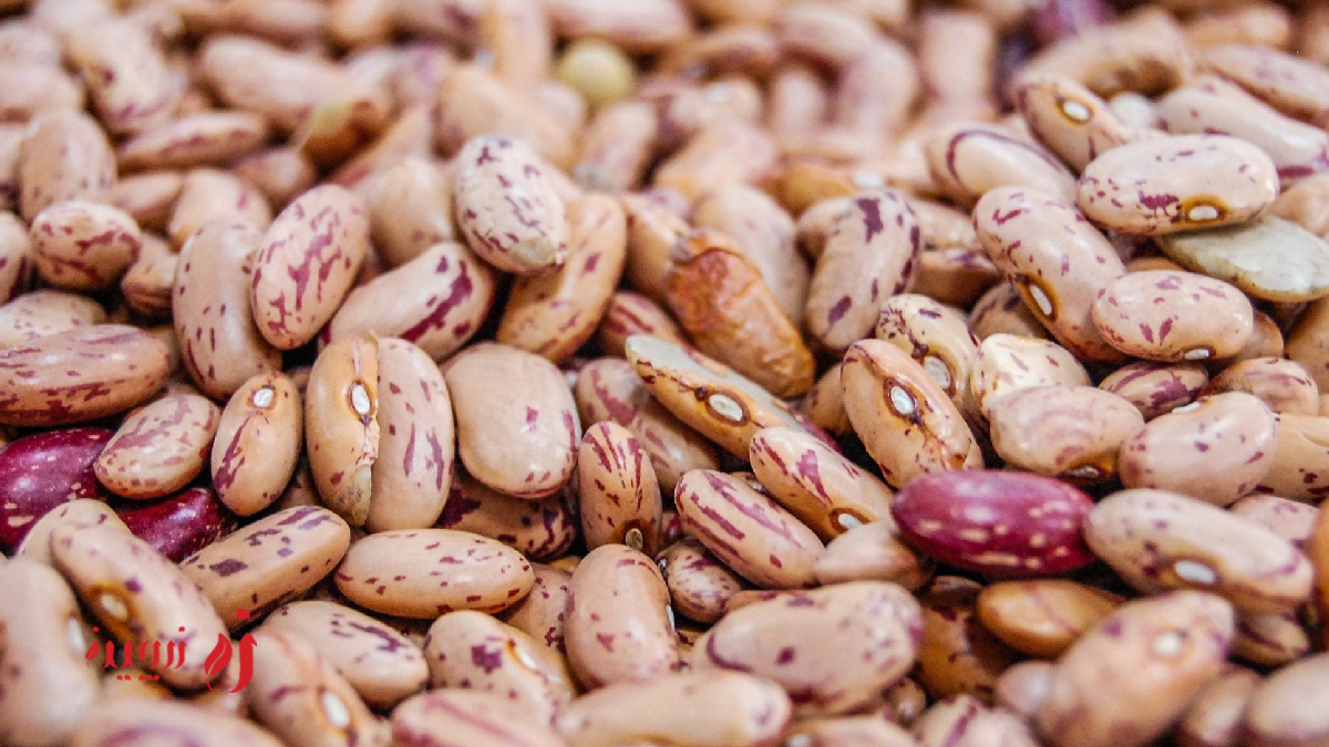 ارزش غذایی خوراک لوبیا