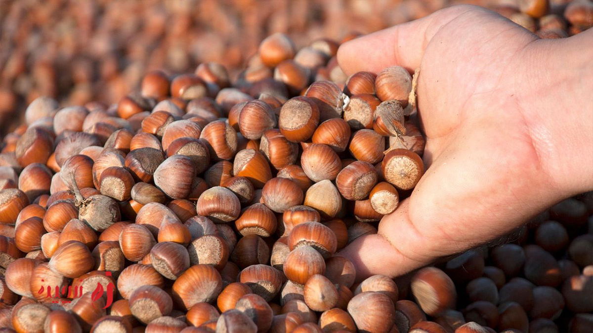 ارزش غذایی فندق