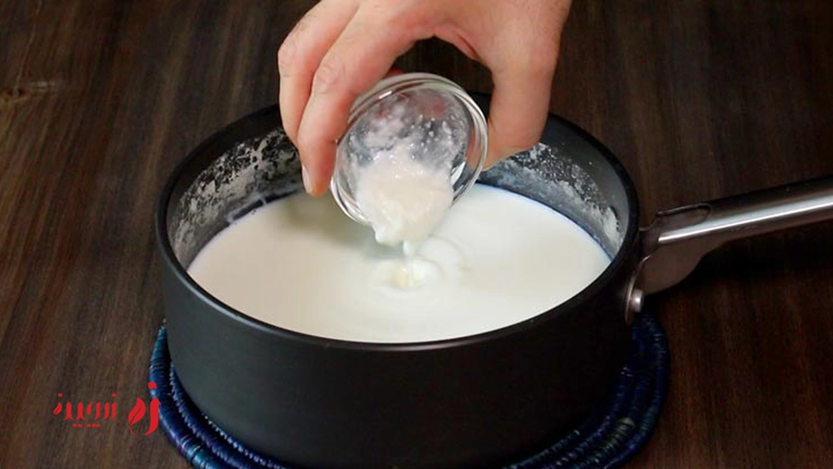افزودن مایه ماست