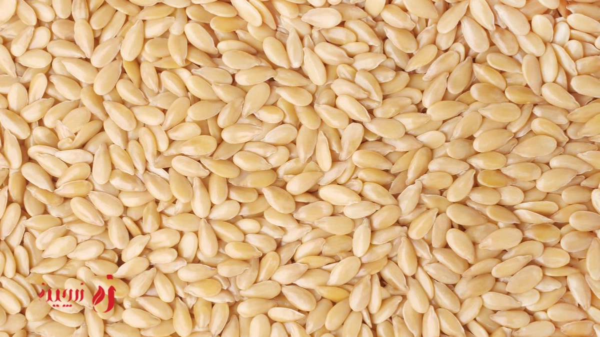 بررسی انواع کنجد