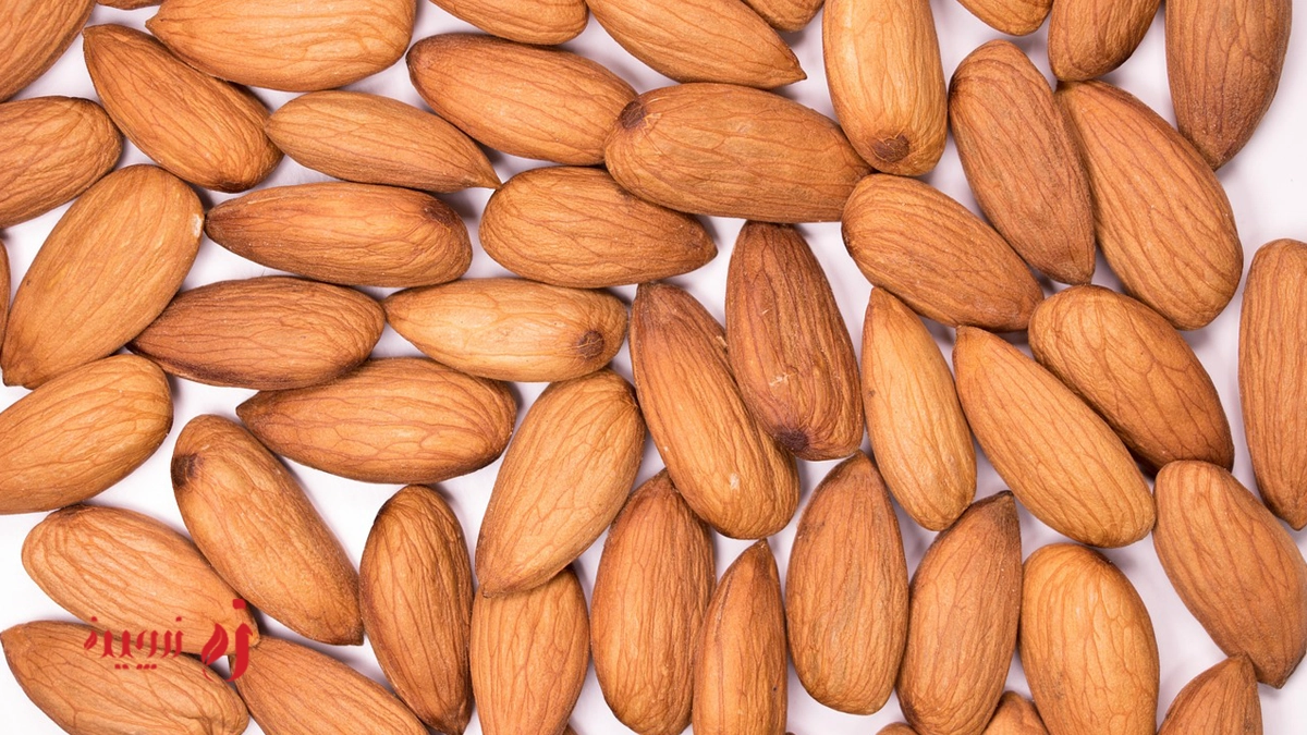 مقایسه بادام محب، بادام منقا و بادام سنگی