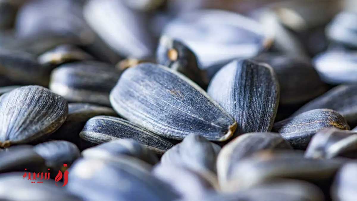 خوردن تخمه افتابگردان در بارداری مضر است یا مفید؟