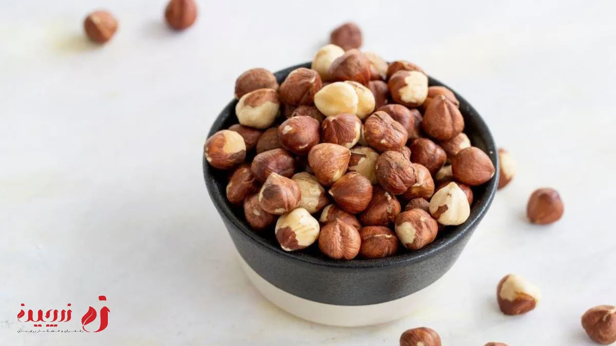 فرق فندق و ماکادمیا