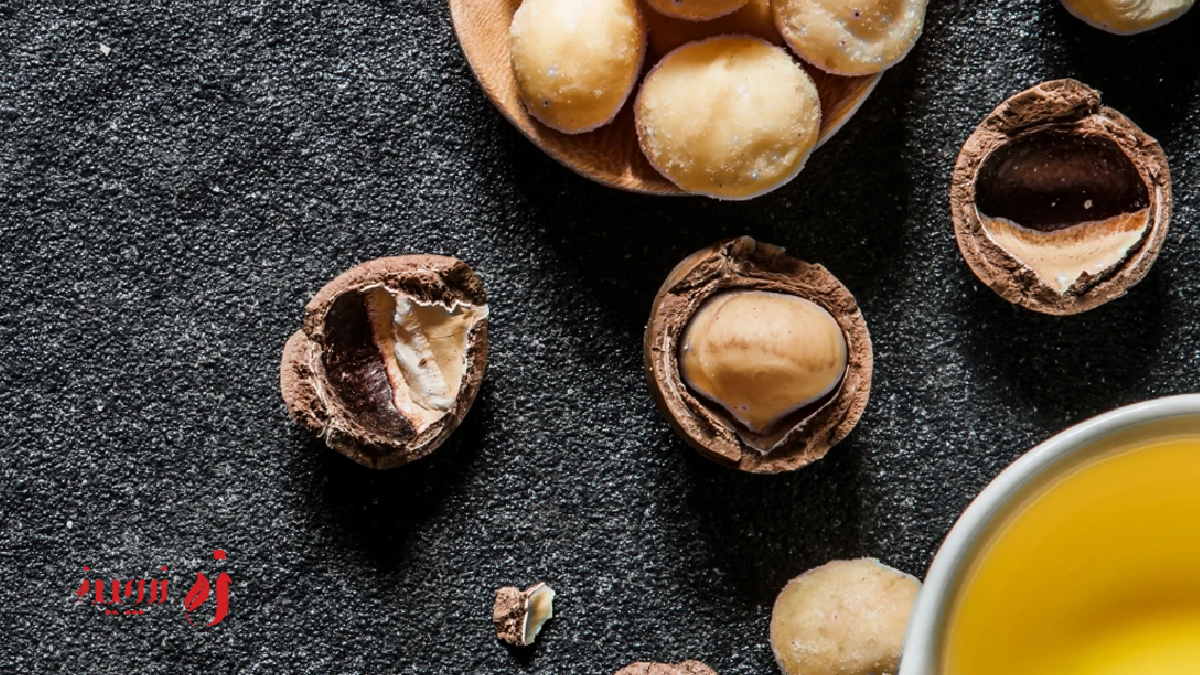 تهیه روغن ماکادمیا در خانه