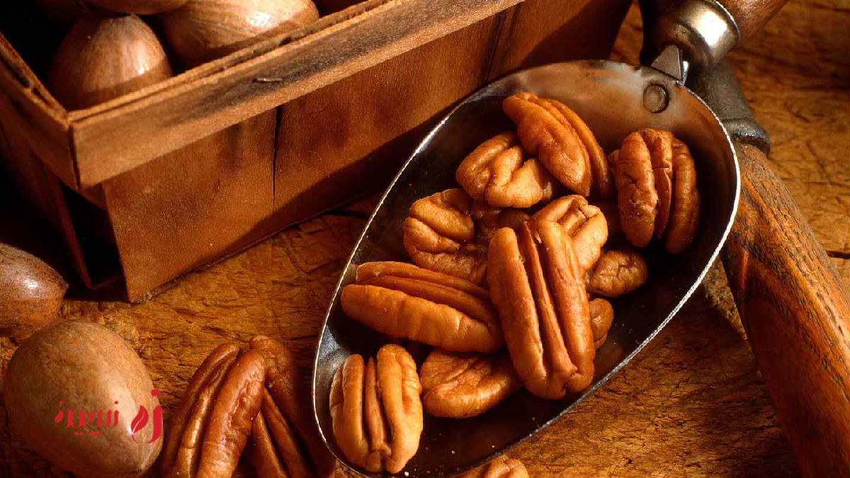 خاستگاه گردو پکان کجاست