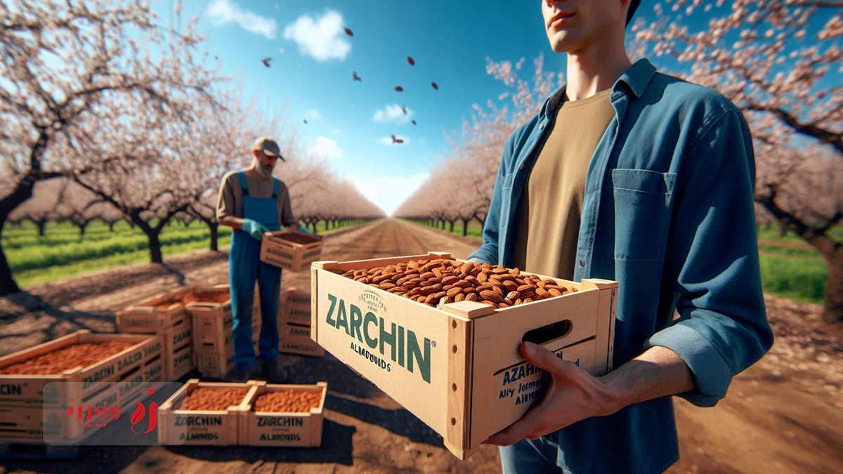 خرید بادام برای روغن گیری