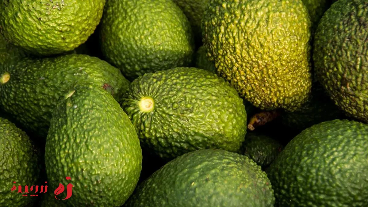 خواص آووکادو برای فشار خون