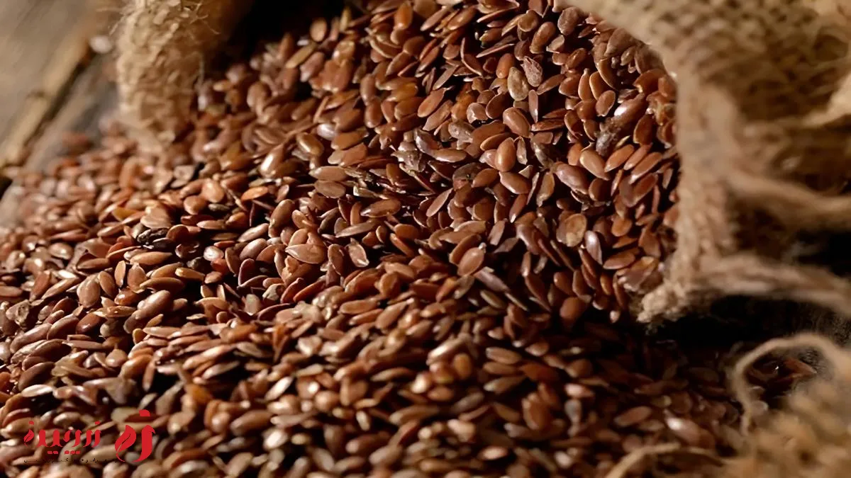 خواص تخم کتان چیست