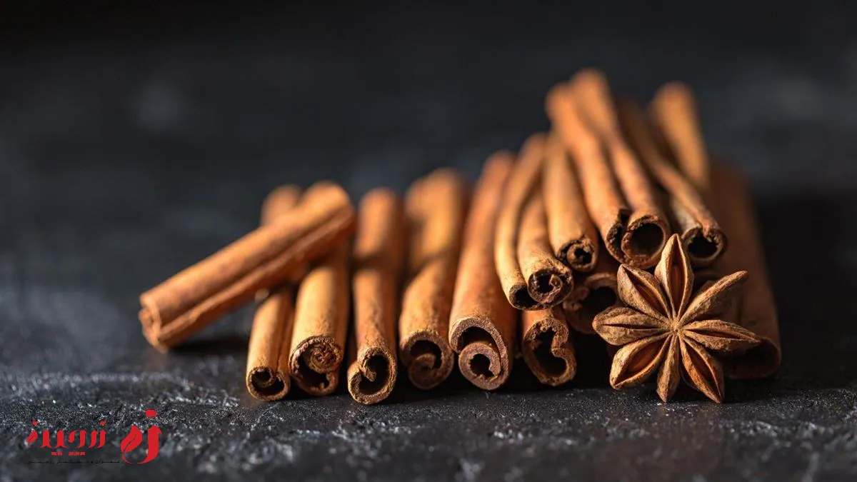 خواص دارچین برای دستگاه گوارش