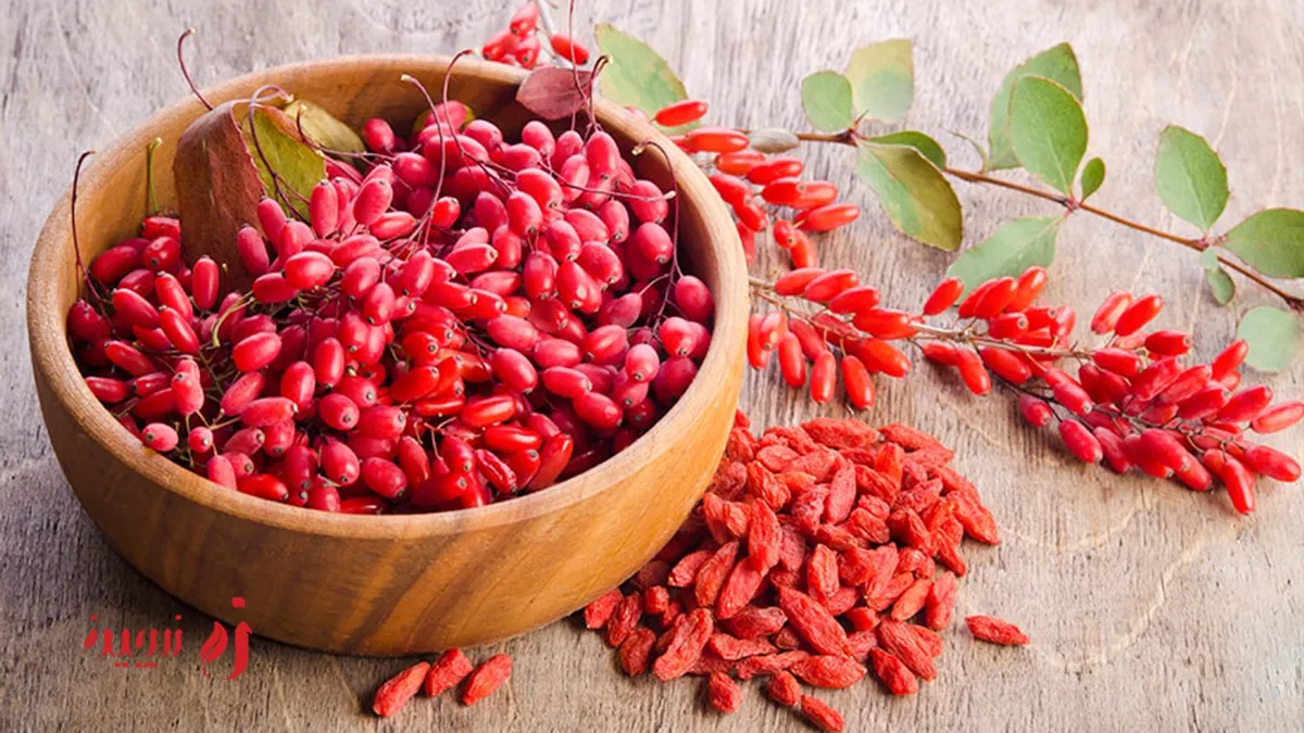 خواص زرشک برای لاغری