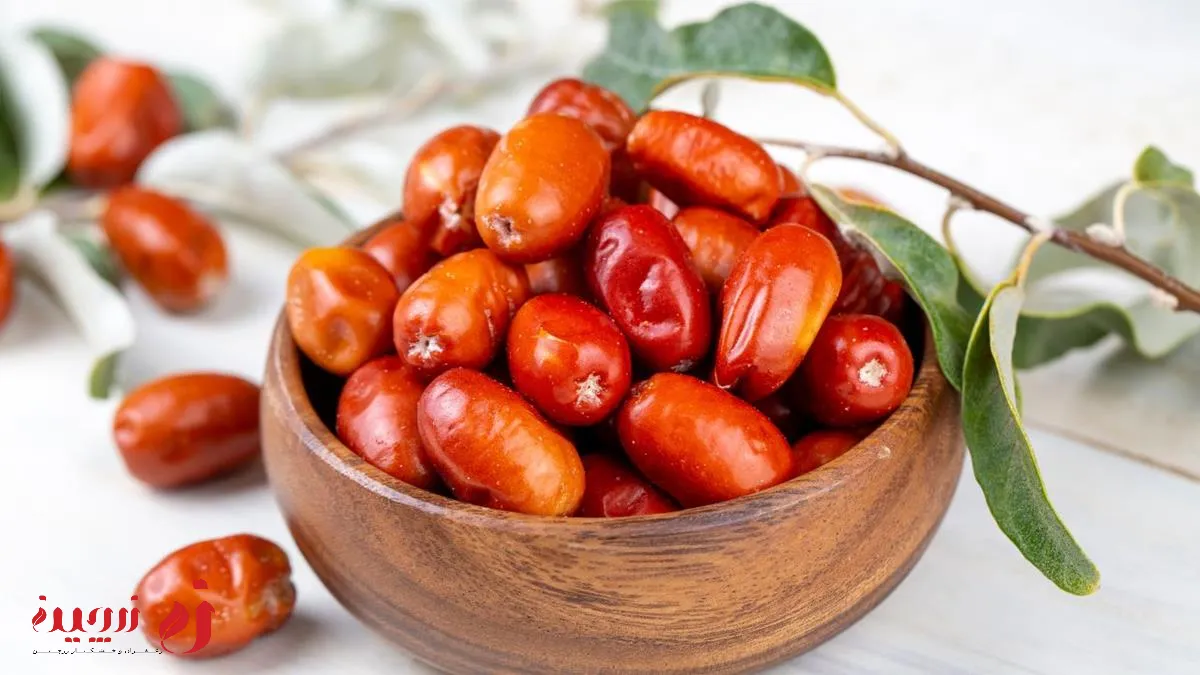 خواص سنجد برای سلامت دستگاه گوارش