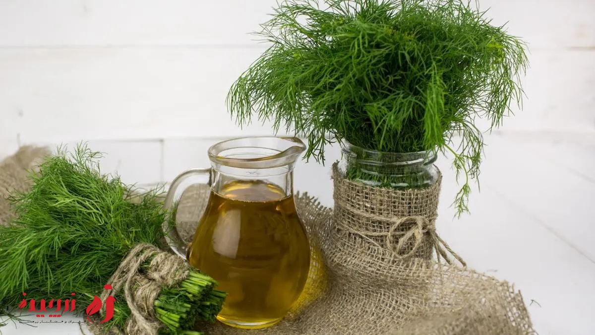 خواص شوید برای قلب