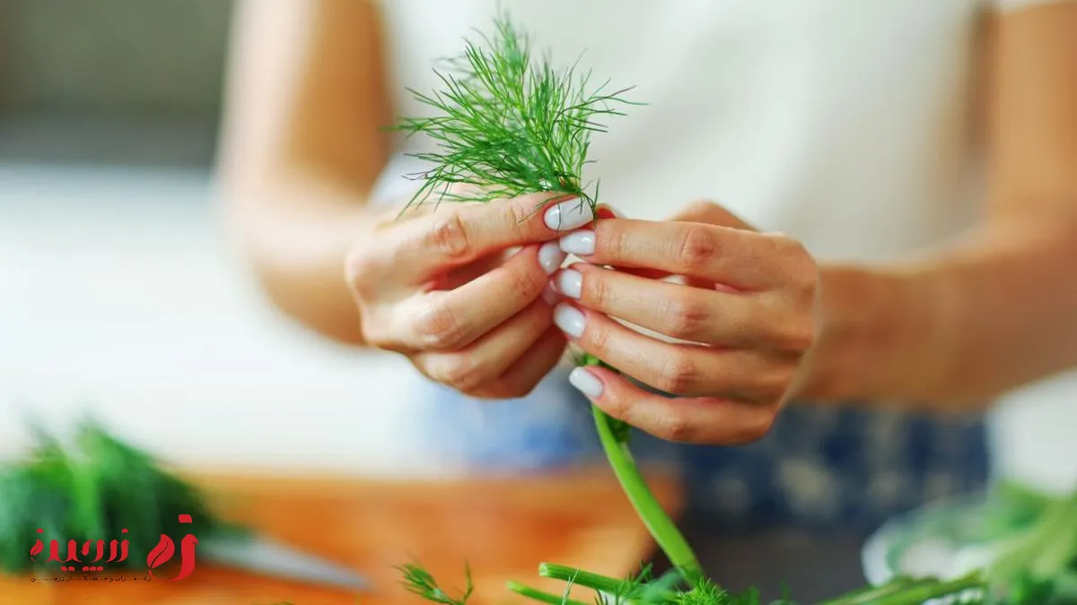 خواص شوید برای سلامت دستگاه گوارش