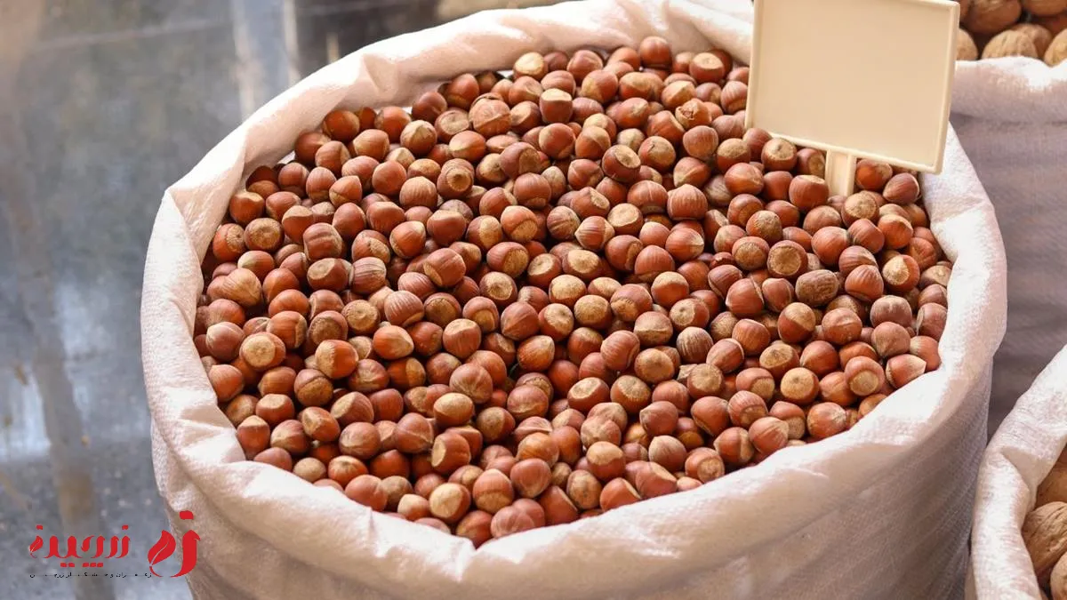 خواص فندق در کاهش قند خون