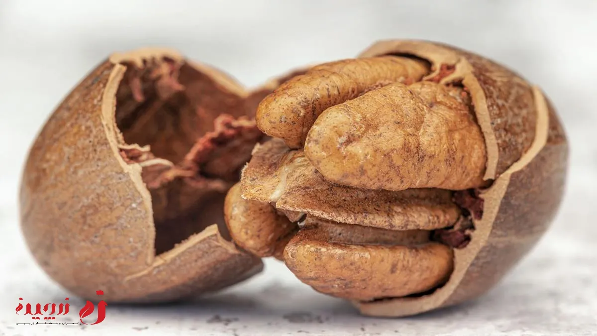 خواص گردو برای قند خون