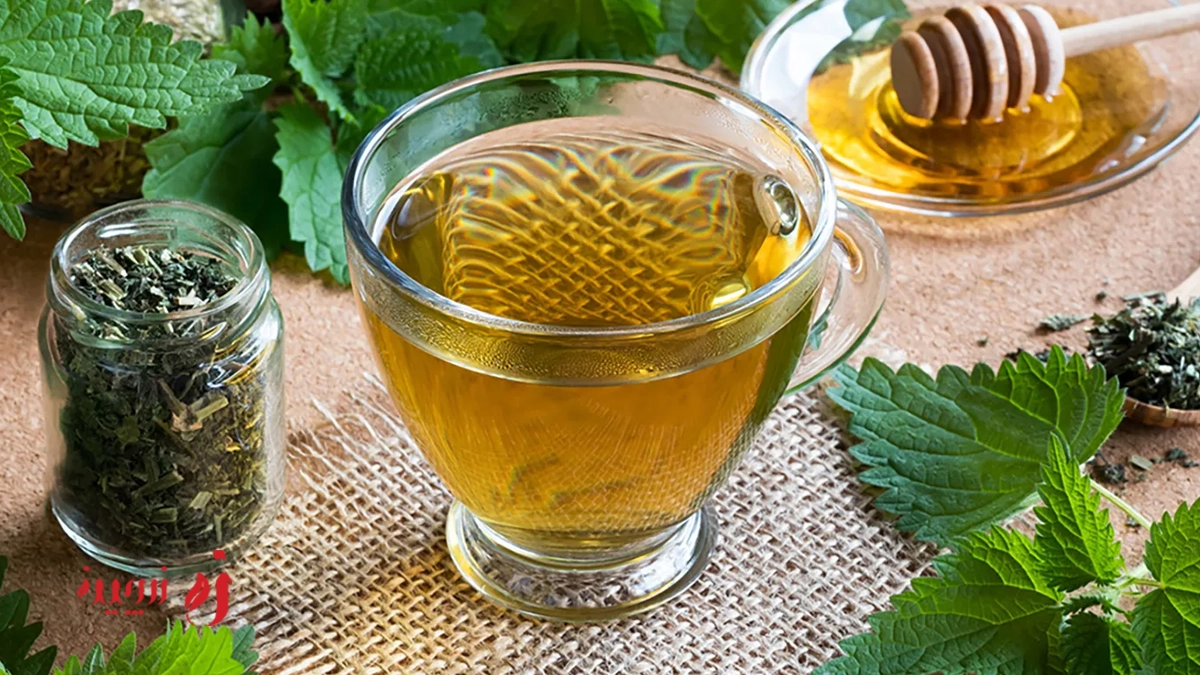 دمنوش گزنه