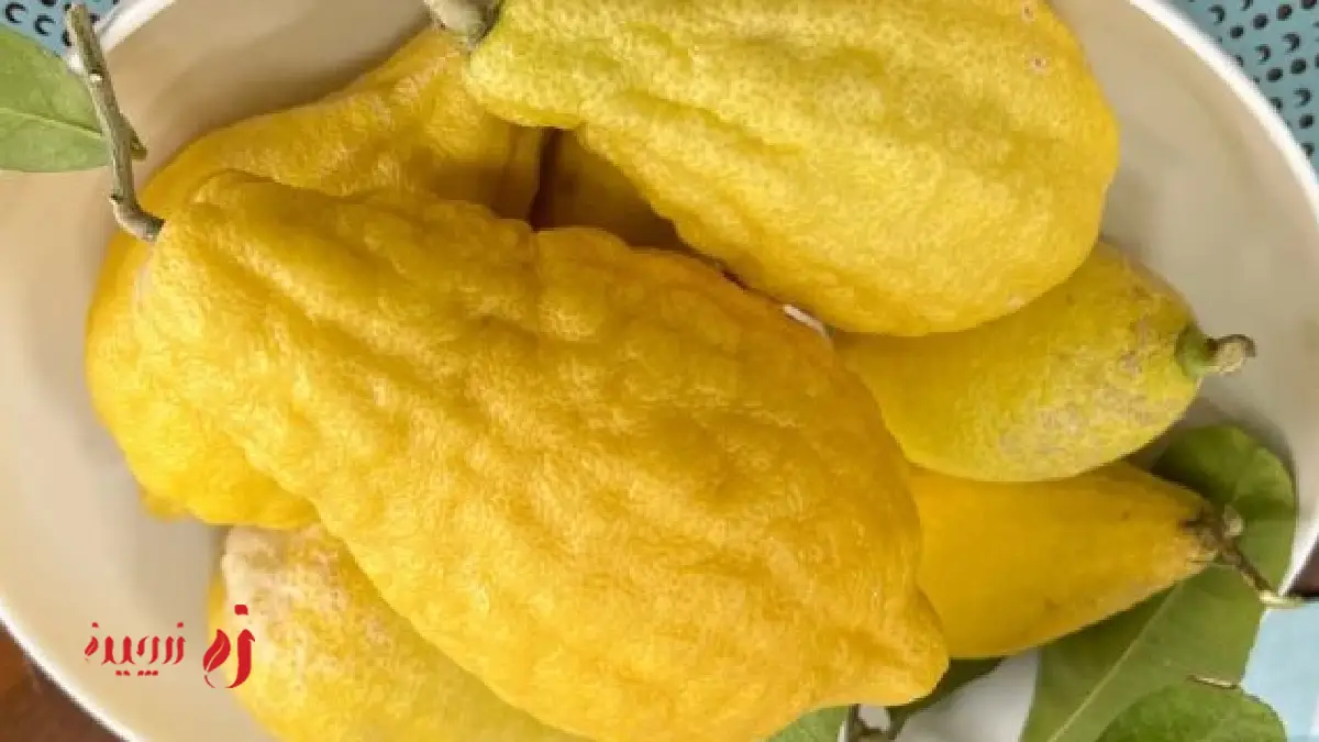 برای مربای بالنگ، بالنگ متوسط بهتر است یا بزرگ؟
