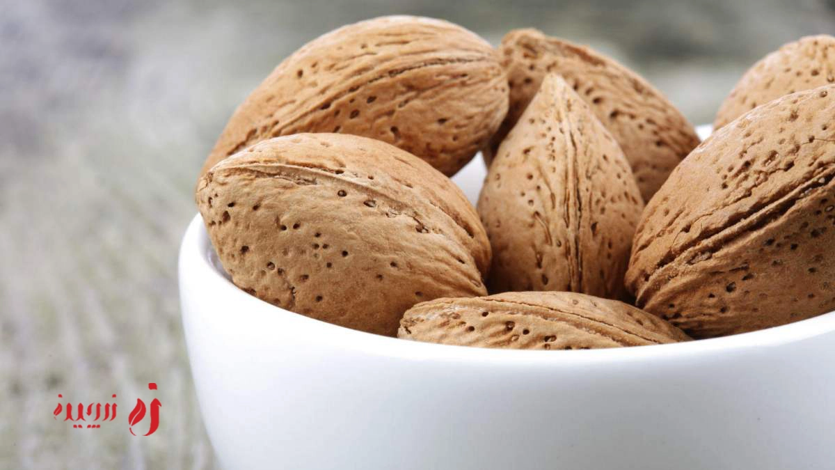 راهنمای خرید بادام سنگی و کاغذی