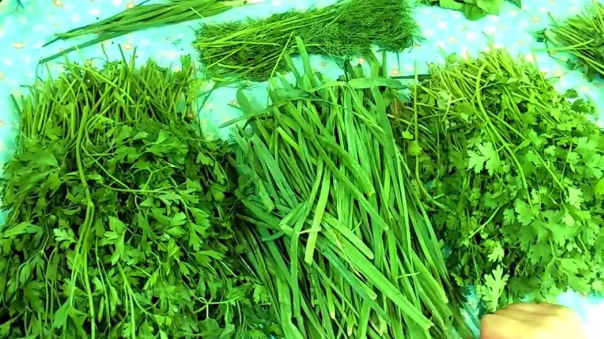 سبزی دلمه برگ مو تبریزی