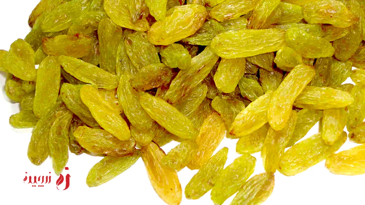 طبع کشمش