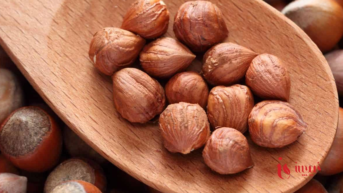 طبع فندق