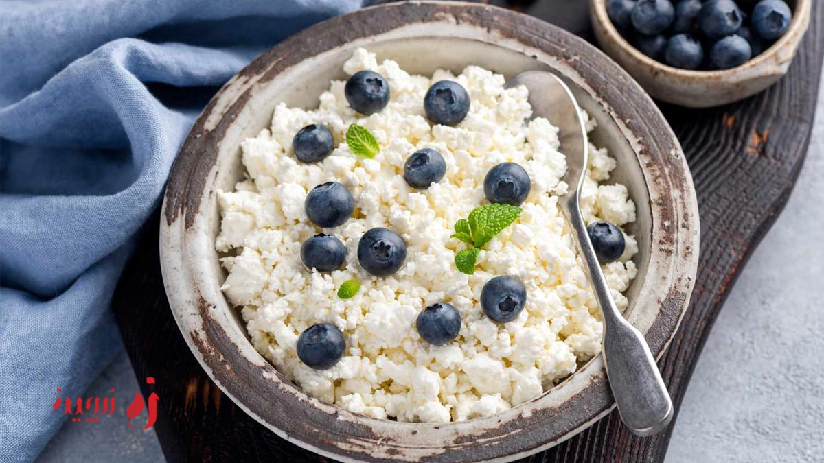 طرز تهیه پروبیوتیک