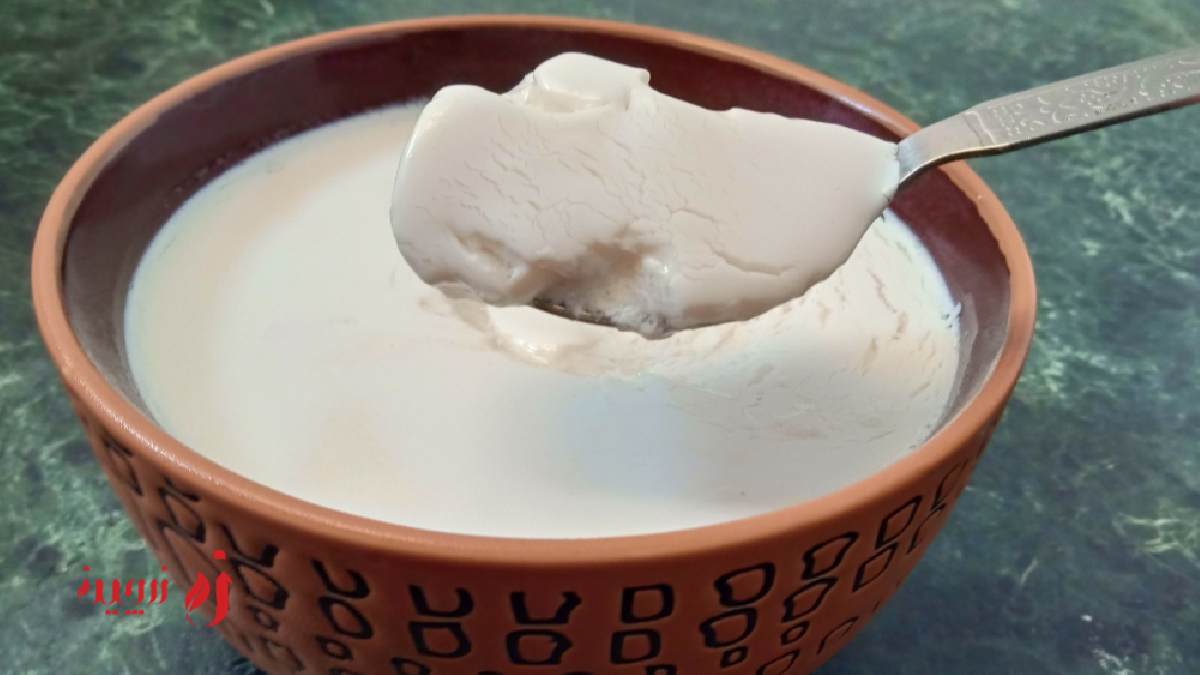 طرز تهیه کشک وگان