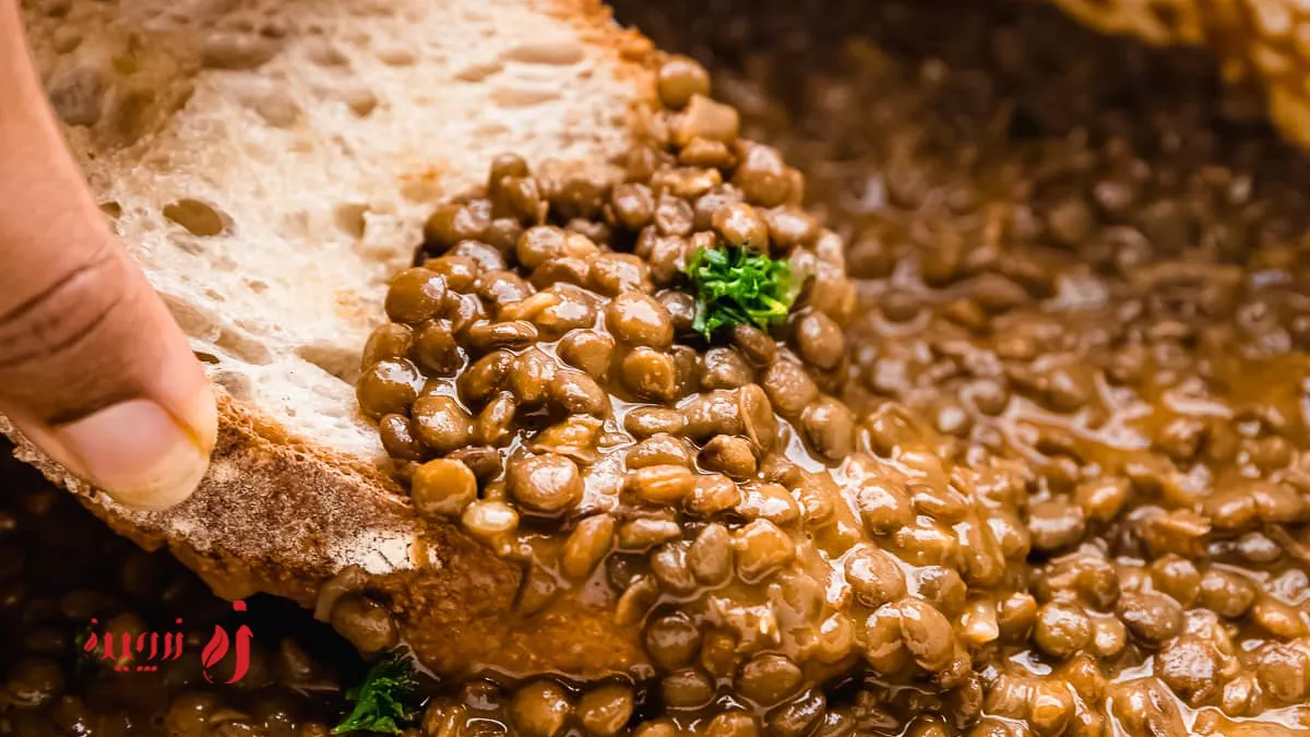 خوراک عدسی