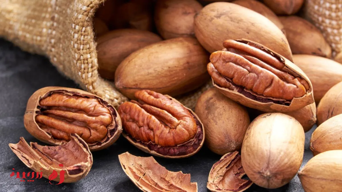 فرق بین گردو و پکان