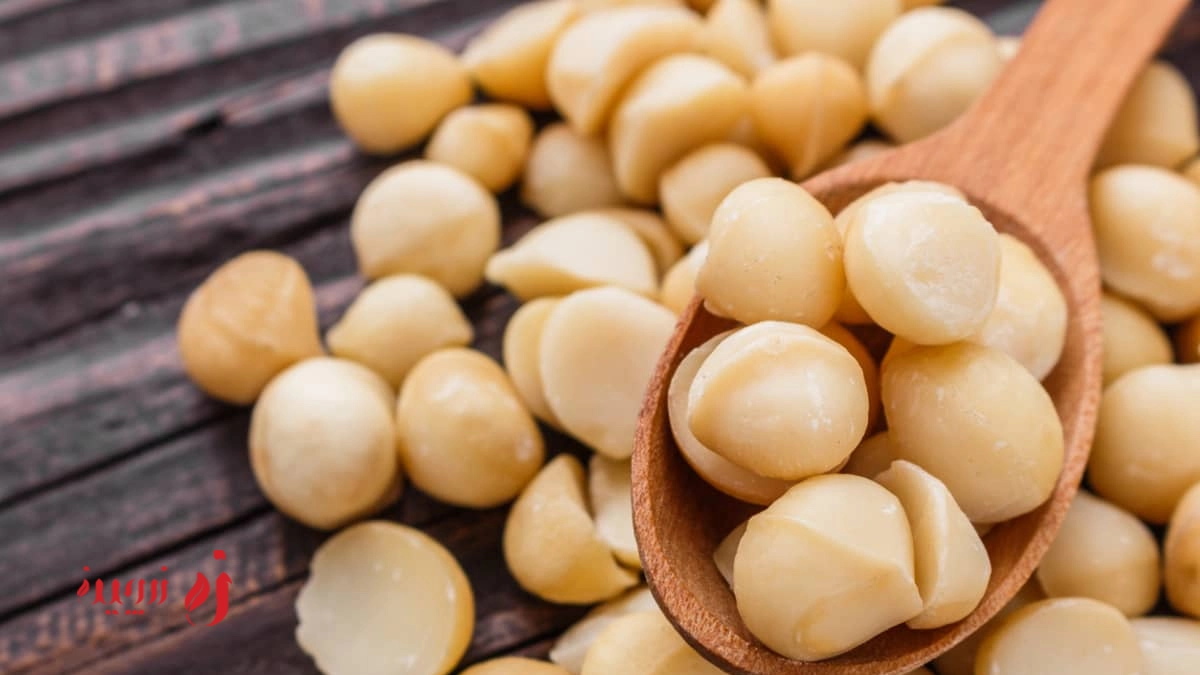 طبع ماکادمیا