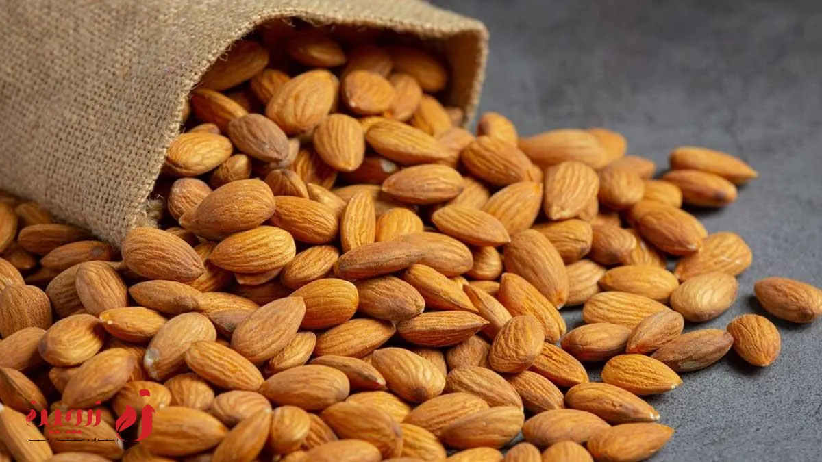 فواید آجیل برای حافظه