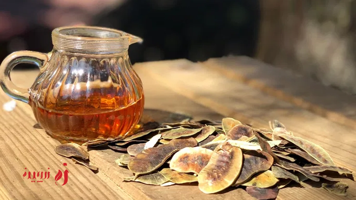 فواید برگ سنا